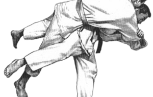 Judo tarnais au feminin