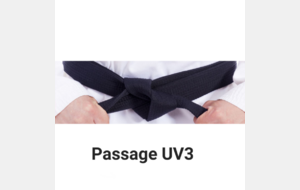Passage UV3