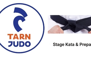 Stage départemental katas et préparation UV